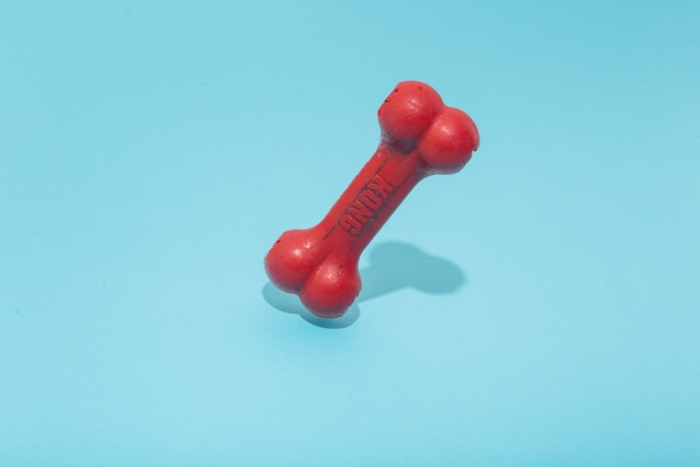 red rubber 'kong' branded dog toy
